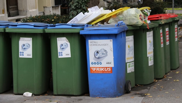 The dead animal was lying in a garbage can. (symbolic image) (Bild: Jauschowetz Christian)