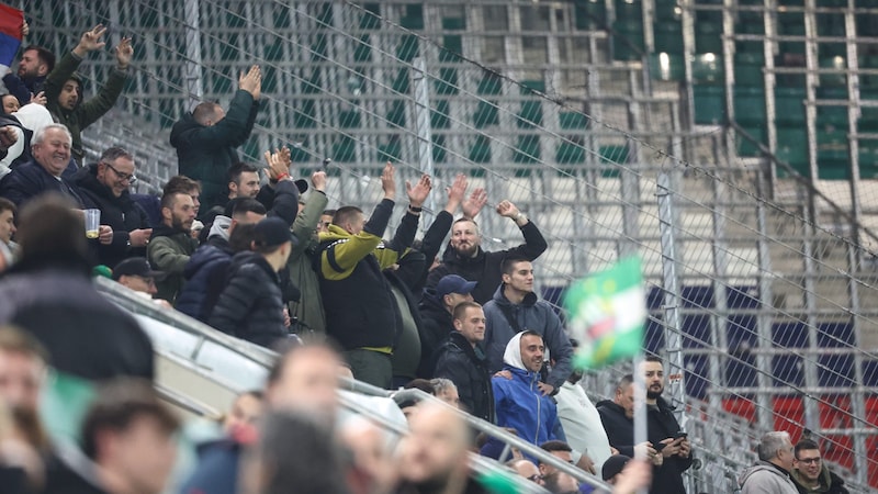 Borac-Fans im Familiensektor (Bild: GEPA)