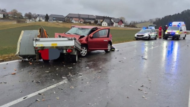 Die toten Forellen lagen nach dem Unfall bei Kollerschlag auf der Straße (Bild: FF Kollerschlag)