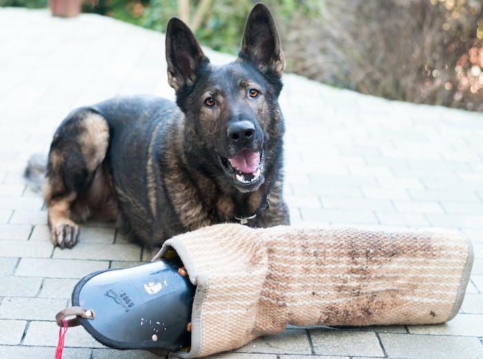 Der am Arm des Menschen angebrachte Schutzärmel war Zentrum der Debatte.