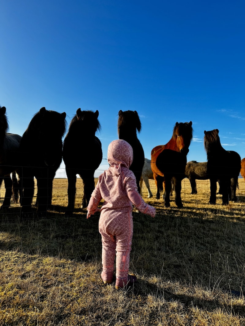 Wild horses, nature and Poleschinski's daughter Eydis Erla right in the middle of it all. (Bild: Eva Poleschinski)