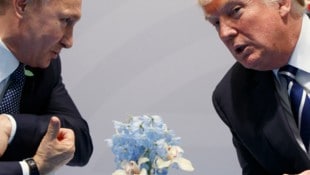 Putin oder Trump: Wer wird dem anderen Zugeständnisse zur Teilung der Ukraine abringen? (Bild: AP/Evan Vucci)