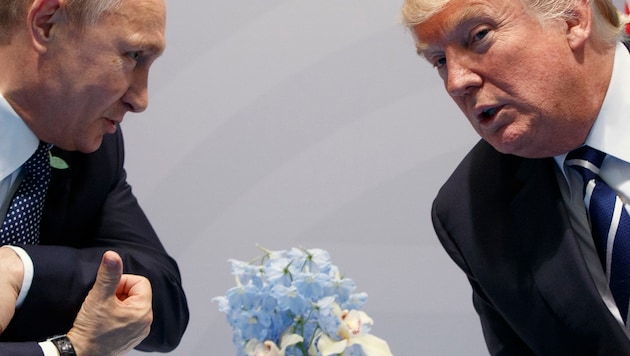 Putin oder Trump: Wer wird dem anderen Zugeständnisse zur Teilung der Ukraine abringen? (Bild: AP/Evan Vucci)