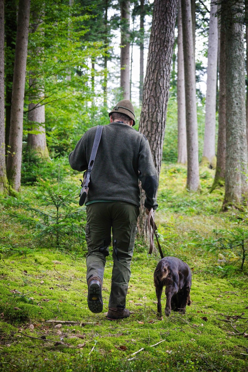 Jäger müssen vor dem ersten Schuss beim Landesjagdverband für die Jagdkarte bezahlen, sonst wird’s für sie richtig teuer. (Bild: Pressefoto Scharinger/Daniel Scharinger)