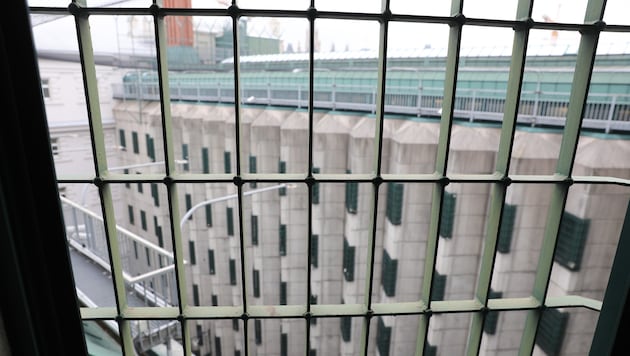 Behind bars, a young man was given an involuntary pecker. (Bild: Jöchl Martin)