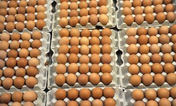 Die USA haben bei mehreren europäischen Ländern um Eierlieferungen gebeten.