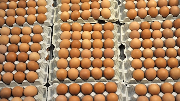 The USA has requested egg deliveries from several European countries. (Bild: APA/Carmen Jaspersen)