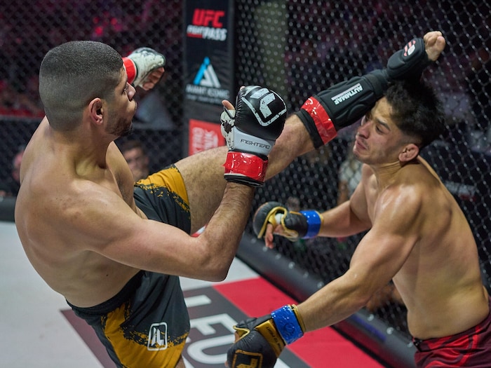 Anas Hamdaoui „terrorisiert“ seine Kontrahenten mit High-Kicks.