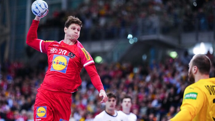Team captain Seppo Frimmel gave his best in the Viennese madhouse.