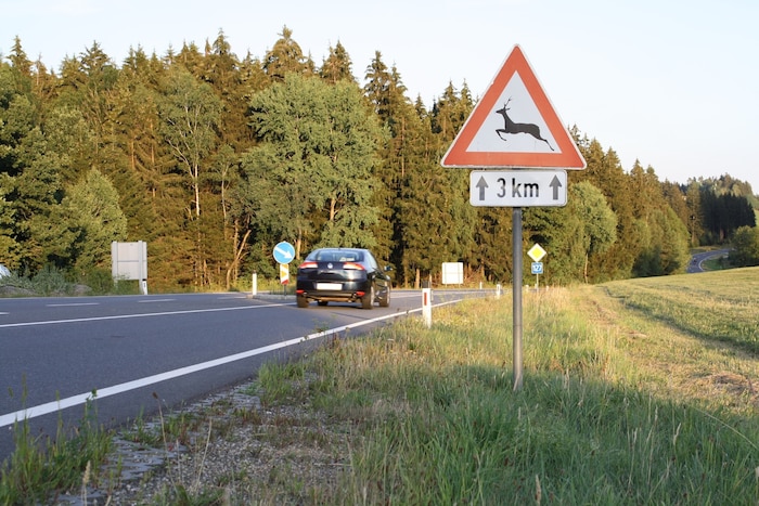 Nach Angaben des Verbandes ereignen sich rund 75.000 Wildunfälle pro Jahr in Österreich, 65.000 ...