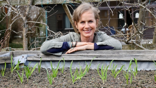 Angelika Ertl hat im Frühjahr alle Hände voll zu tun – im Hochbeet kommt schon der im Herbst gesteckte Knoblauch. (Bild: Jauschowetz Christian)