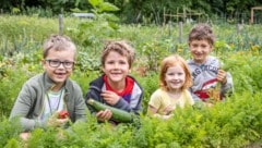 Mit der Idylle in der Stadt wirbt „Morgentau“