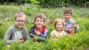 Mit der Idylle in der Stadt wirbt „Morgentau“