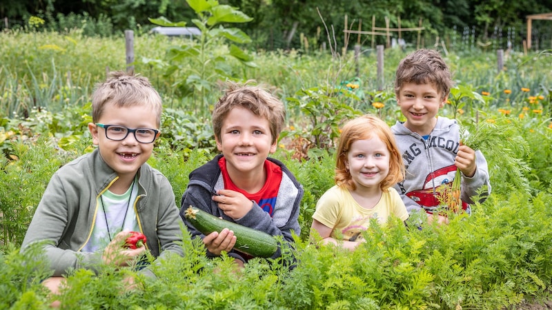 Besonders für Kinder ist das Arbeiten in den Morgentaugärten eine tolle Erfahrung (Bild: Morgentau Gärten)