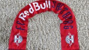 Um einen solchen Fan-Schal dreht sich der Strafprozess (Symbol).