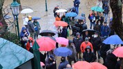 Das Regenwetter hielt die Schweizerhaus-Besucher nicht vom Genuss von Bier und Stelze ab. 