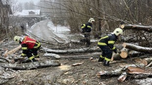 Die zerkleinerten Holzstücke wurden von der Straße geräumt.