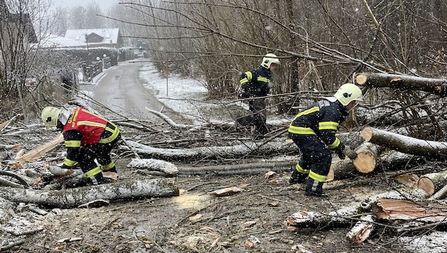 The chopped up pieces of wood were cleared from the road. (Bild: FF Ottnang am Hausruck)