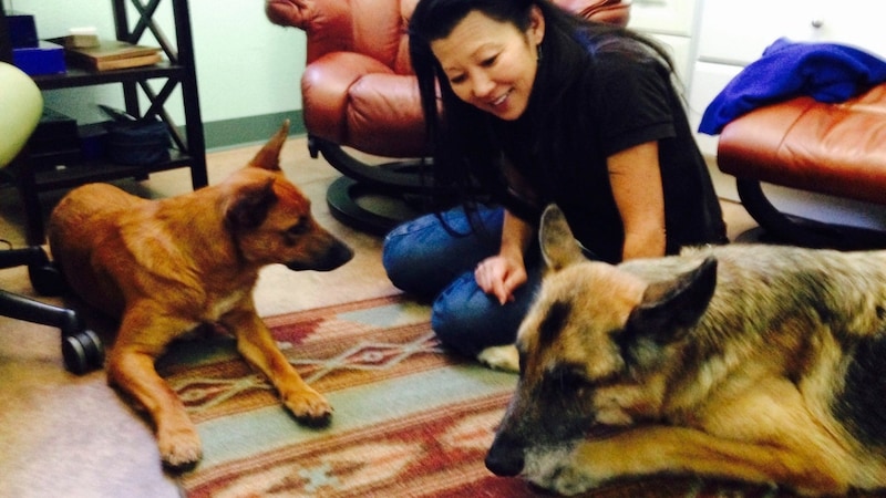 Betsy Arakawa mit den Hunden „Zinna“ (links) und „Bear“ (rechts): „Zinna“ wurde mit seinen Besitzern tot in der Villa von Gene Hackman gefunden. (Bild: APA/Sherry Gaber via AP)