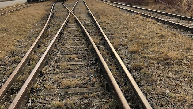 Der Unterkühlte dürfte sich auf die Gleise verirrt haben. (Bild: Monika Veit-Öller)