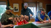 Opa Matthias portioniert die Würstel (re.), Enkel Max hängt sie auf.