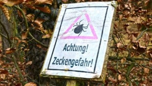 Kurze Winter und frühe Wärmephasen lassen die Blutsauger aus ihren Verstecken kriechen. (Bild: Spitzbart Wolfgang)