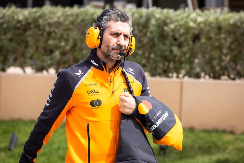 McLaren-Teamchef Andrea Stella (Bild: GEPA)