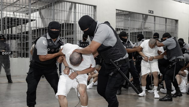 Das Weiße Haus hat 200 mutmaßliche Mitglieder einer Bande aus den USA abgeschoben. Sie sitzen nun im Gefängnis in El Salvador. (Bild: APA/AFP/El Salvador‘s Presidency Press)