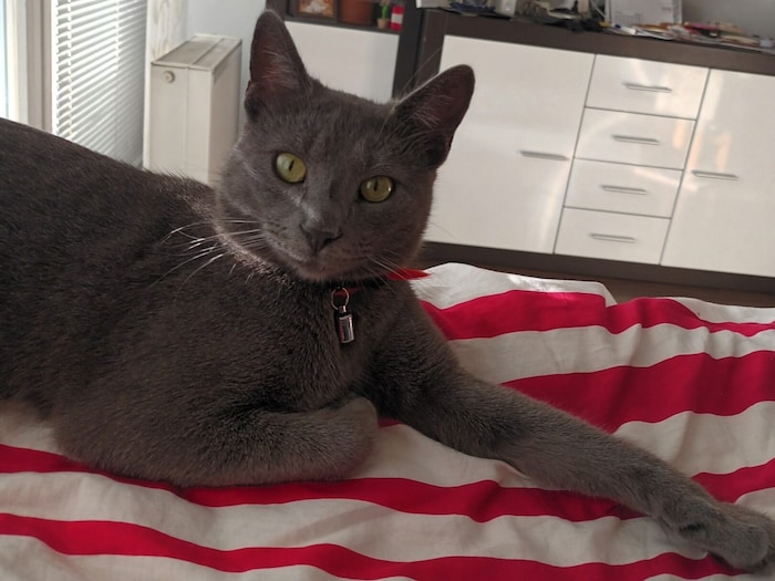 Wo ist Oliver?