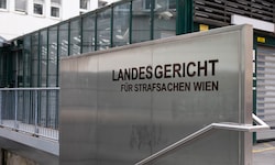 Im Landesgericht Wien sahen sich die Ex-Lebensgefährten wieder.