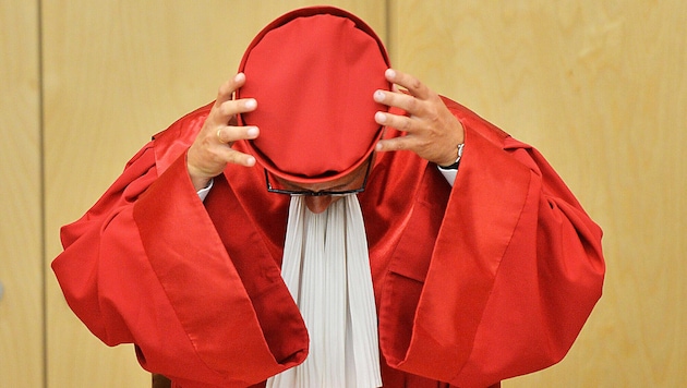 The supreme court judges in Karlsruhe (Bild: AFP/ULI DECK)