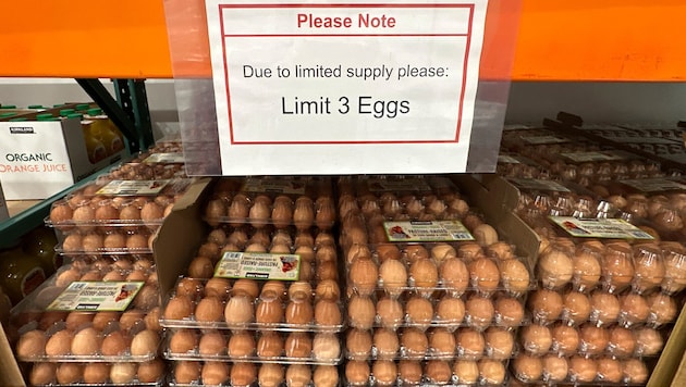 "Three eggs maximum", reads a sign in a supermarket in the US state of Wyoming. (Bild: AP/David Zalubowski)