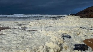 Gelber Schaum im Meer: Der Waitpinga-Strand wurde bereits gesperrt.