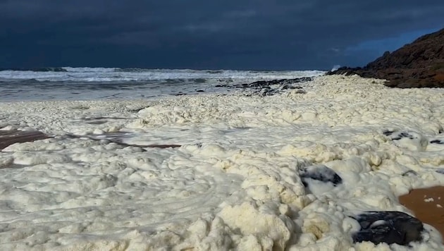 Yellow foam in the sea: Waitpinga beach has already been closed. (Bild: AP/AP ( via APA) Austria Presse Agentur)