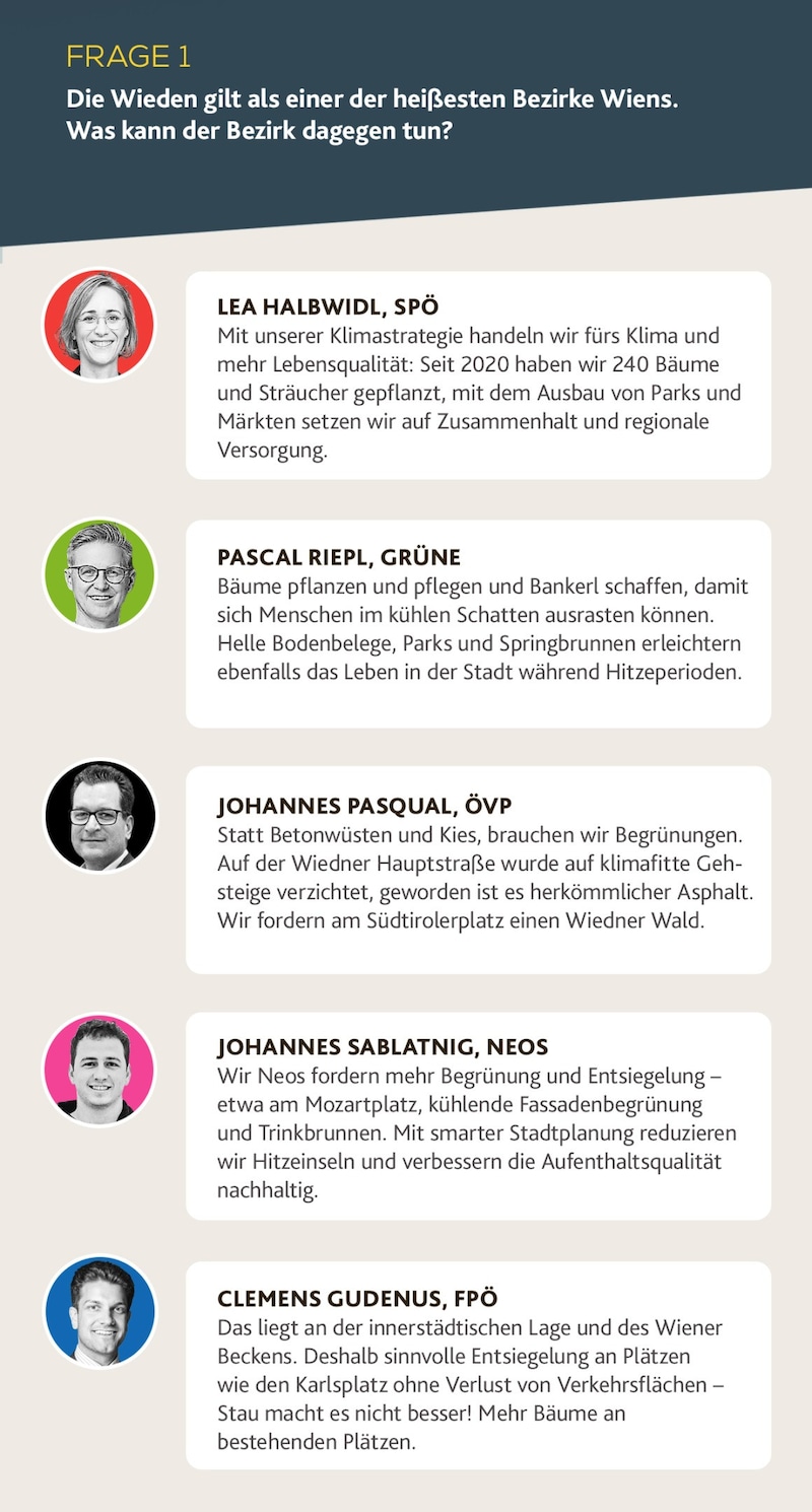 (Bild: Krone KREATIV/BV04, Grüne Wien, ÖVP Wien, NEOS Wien, Richard Schmögner)