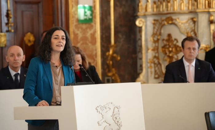 Sandra Krautwaschl, Grüne