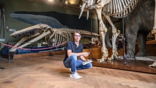 Dr. Pascal Querner bewahrt das Museum als „oberster Kammerjäger“ vor Schädlingsfraß. (Bild: NHM Wien / Christina Rittmannsperger)