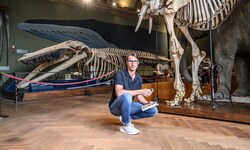 Dr. Pascal Querner bewahrt das Museum als „oberster Kammerjäger“ vor Schädlingsfraß.