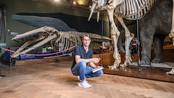 Dr. Pascal Querner bewahrt das Museum als „oberster Kammerjäger“ vor Schädlingsfraß.