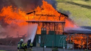 Der Stall brannte komplett ab, etliche Tiere sind verendet. (Bild: ZOOM Tirol)