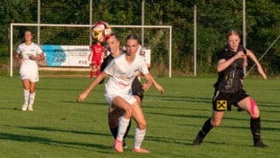 Auch im Frauen-Unterhaus rollt ab dem Wochenende wieder die Kugel. (Bild: kickerin.at/Willi Grinninger)