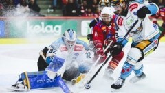 Goalie Tirronen (l.) war wieder ein starker Rückhalt (Bild: GEPA)