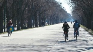 Auf der Prater Hauptallee ist immer viel los. Hier trifft man Jogger, Radfahrer und Spaziergänger. (Bild: Zwefo)