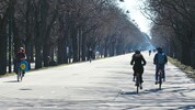 Auf der Prater Hauptallee ist immer viel los. Hier trifft man Jogger, Radfahrer und ...