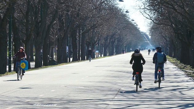 Auf der Prater Hauptallee ist immer viel los. Hier trifft man Jogger, Radfahrer und Spaziergänger. (Bild: Zwefo)