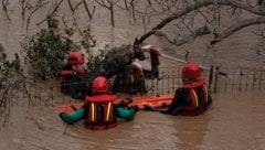 (Bild: AP/Gregorio Marrero)