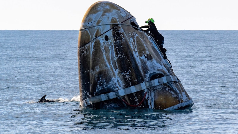 „Willkommen daheim“, hieß es aus dem Kontrollzentrum, nachdem die „Crew Dragon“-Raumkapsel des Raumfahrtunternehmens von Tech-Milliardär Elon Musk vor der Küste des US-Bundesstaates Florida im Meer gelandet war. Ein „Hallo“ gab es auch seitens einiger Tümmler, die um die Raumkapsel kreisten. (Bild: AP/Keegan Barber)