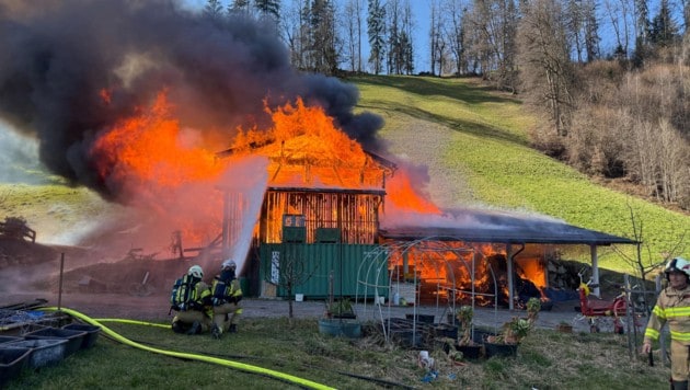 Lichterloh brannte der Stall. (Bild: ZOOM Tirol)