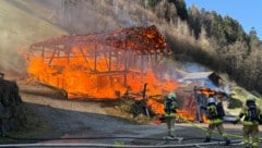 In dem Feuer kamen mehrere Tiere um.  (Bild: ZOOM Tirol)