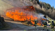 In dem Feuer kamen mehrere Tiere um. 